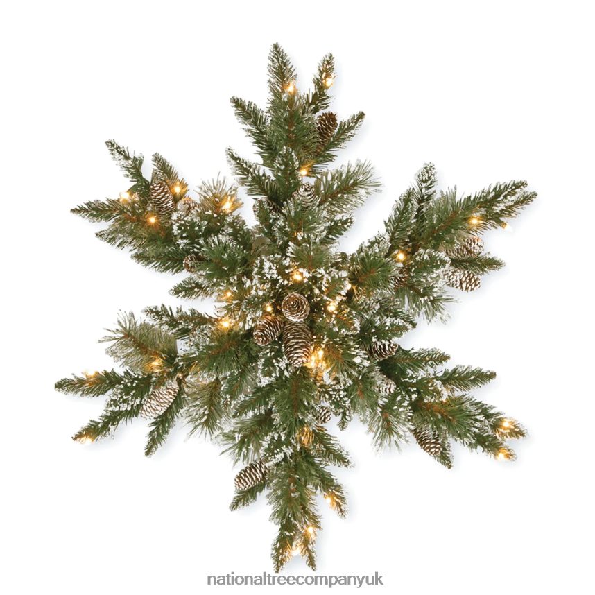 Greenery | National Tree Company Pre-Lit Artificial Christmas Star Wreath Green Glittery Bristle Pine White Lights Decorated with Pine Cones Frosted Branches Christmas Collection 32 Inches F2L4